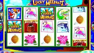 LUCKY MEERKATS Video Slot Casino Game with a "HUGE WIN" LUCKY MEERKATS BONUS