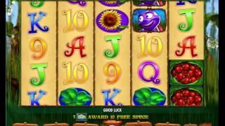 100Ladies Slot IGT - Free online Casino games