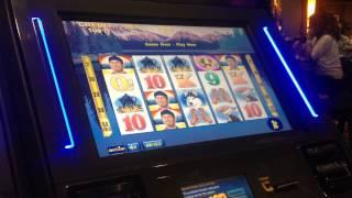 NEW GAME TimberJack Slot machine - Bonus Feature & Gameplay