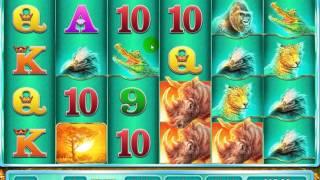 Movie Of Dunovers Big Slot Wins and Profit!