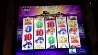 Aristocrat Buffalo Slot (Line) Hit - Parx Casino