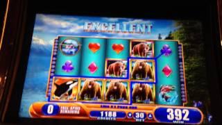 Kodiak Island Slot Machine Free Bonus Games