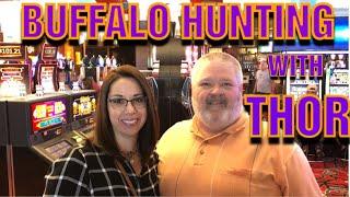 Buffalo Gold JACKPOT HUNTING with Thor ! Playing with a subscriber ! BONUS TIME !