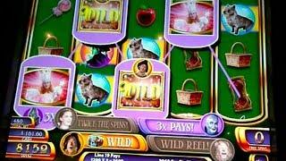 Ruby Slippers Slot: Free Spins Win