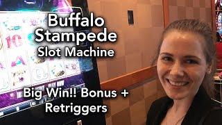 Buffalo STAMPEDE! Max Bet * BIG WIN!!! Patience pays off! Bonuses!!!