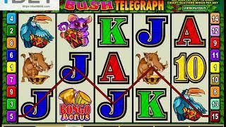 MG  Bush Telegraph  Slot Game •ibet6888.com
