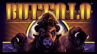Aristocrat - Buffalo - Line Win -  Slot Machine Bonus