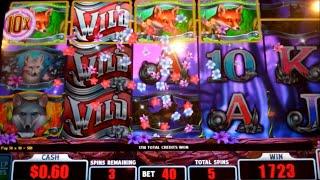 Silver Fox Slot Machine Bonus - 8 Free Games Win with 10x Fox Multiplier (#1)