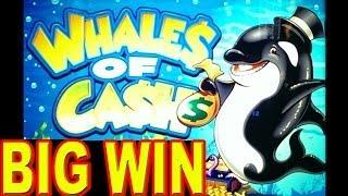 Free online slot games win real money