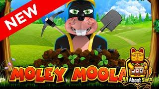 Moley Moolah Slot - Reflex Gaming - Online Slots & Big Wins