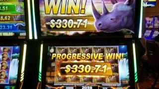 Big 5 Safari Slot Machine PROGRESIVE WIN  Max Bet