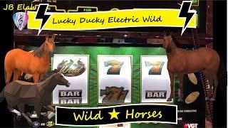 VGT LUCKY DUCKY ELECTRIC WILDS 
