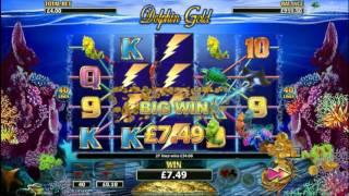 Dolphin Gold - Casino Kings