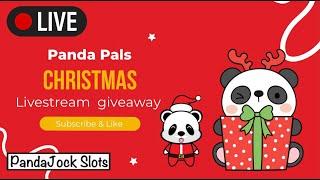 Panda Pals Christmas livestream giveaway