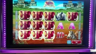 Konami Herd of Wins Slot machine line hit