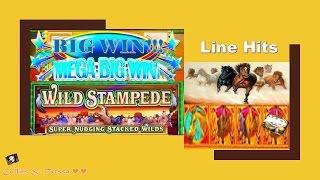 •MEGA SIREN WIN• WMS Wild Stampede • Slot Machine Line Hits