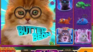 SUPER FLUFFBALLS Video Slot Game with a FREE SPIN BONUS