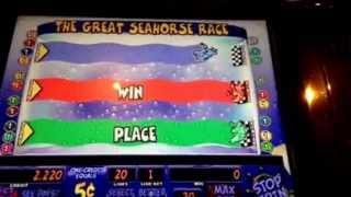 The Amazing Live Sea-Monkeys Slot Machine Sea Horse Race Bonus $.05 Denom New York Casino Las Vegas