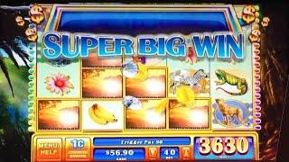 Gorilla Chief Slot Machine - Nice Bonus Win