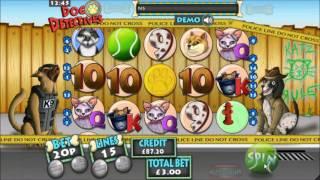 Mr Spin - Dog Detectives Slot - With Feline Felons Feature Gameplay