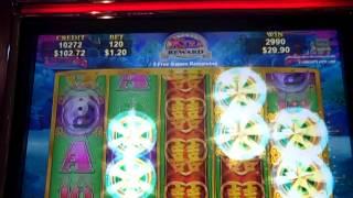 Dragons Law bonus win