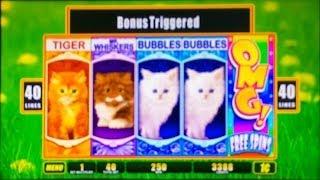 WMS' OMG Kittens!  (posted On Mother's Day) Here's A Slot Machine Video For You