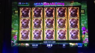 Wild Bear Paws Slot Machine - FREE SPIN BONUS FEATURE & LINE HIT