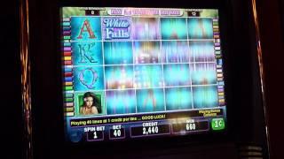 White Orchid Slot Machine Bonus Win (queenslots)