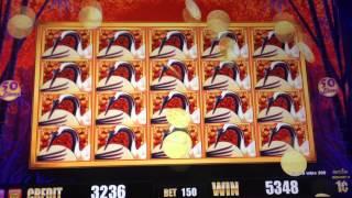 Cashman Fever RED CRANE slot machine Full screen win