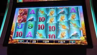 Raging Rhino Slot Machine Bonus-big Win To Pitiful-$1.20 A Spin