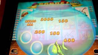 Goldfish Slot Bonus