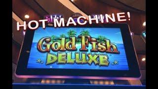 GOLDFISH DELUXE - Hot Machine!  Lots of Big Wins!