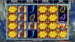 COYOTE QUEEN Video Slot Casino Game with a JACKPOT WON