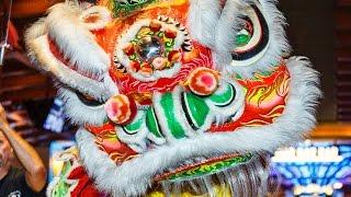 Lucky Lion Dancers