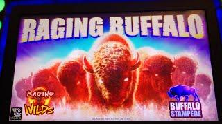 Raging Buffalo Fun at Kickapoo Lucky Eagle