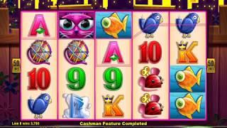 MISS KITTY GOLD Video Slot Casino Game with a CASHMAN DROPS MONEYBAG BONUS