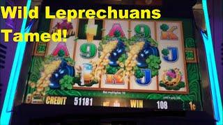Wild Leprechuans TAMED!!!