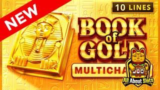 Book of Gold Multichance Slot - Playson - Online Slots & Big Wins