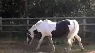 WOW!..LOOK..what happens To Mr.Scratchcard George..when he goes strolling over the fields