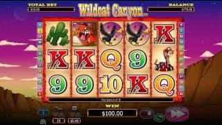 Wildcat Canyon slot game