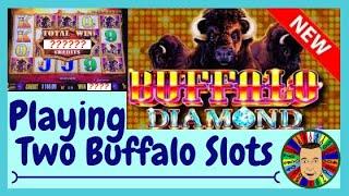 •Somebody Won On Buffalo Slot Machine!!•