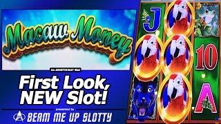 Macaw Money Slot - First Look, New Clone of Birds of Pay by Aristocrat