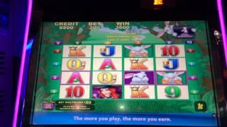 Bunny's Rabbits - Bonus - $2 Bet. First time coming across this game.