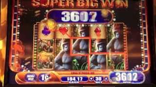 Queen of the Wild Slot Machine SUPER BIG WIN & 20 Free Spins