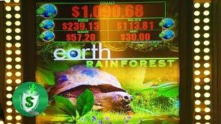 Earth Rainforest slot machine • sasakigs