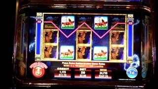 Buffalo Thunder slot machine bonus with full screen at Max Bet at Borgata Casino.