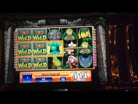 Jungle Wild HANDPAY jackpot 2 HANDPAYS next to one another !
