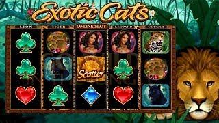 Exotic Cats Online Slot from Microgaming