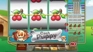 Cash Puppy slot game