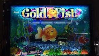 *TBT* WMS Goldfish 2 - Free Games/Line Hit